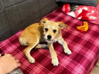 0dd340eb-b922-476c-8c05-9e7371bfcea6