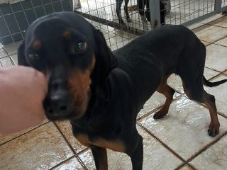 1c0d1eda-b5ce-4cf1-80c0-cd9242c94f22