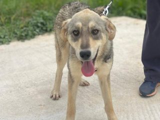 21eb008b-ac4a-4339-8e2f-f179dab747da