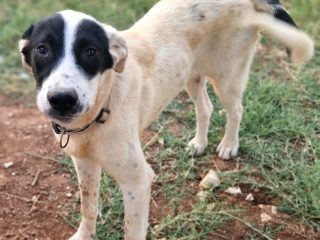 419b09f1-059e-4bfe-b7df-be19d4886d0b