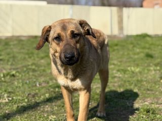 7194bfc3-61e9-4110-a776-6594ce8434af