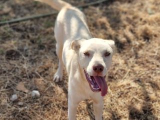 981731f4-3c2d-472b-8338-df39f868ca05