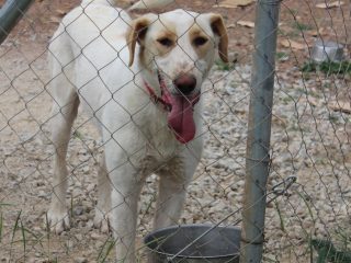 9e49e3a8-2e78-4e6b-b280-eb1a64501f10