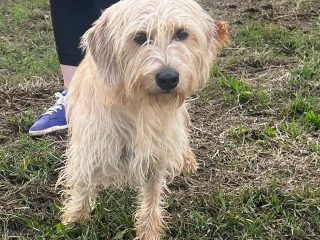 A410DBA0-9312-4723-8600-5A2DA25CF492