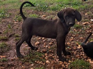 afededb3-a9aa-48cf-b75d-84d6c2422a7c