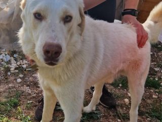 c7f00ec1-aee6-4c8f-9520-9a411e8967f9