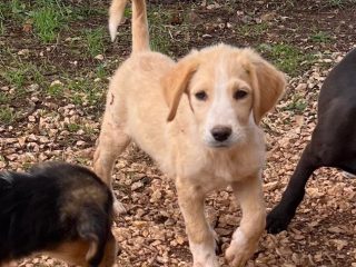 dc3e7a7c-4f75-4ca3-bb9a-b8aa06fcedf7