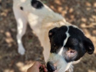 e02902d1-1881-4777-bbc2-8cc814dc7aa9