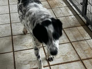 ed120d98-0f99-4953-917b-3d8baa8da24c