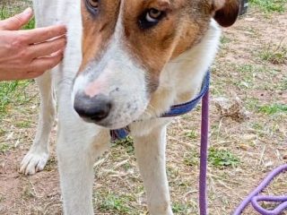 ff59fbc4-979e-442b-a19f-054c2d0521f6