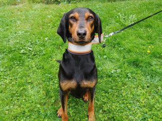 257b415c-666d-46aa-9af2-55c49193e42b