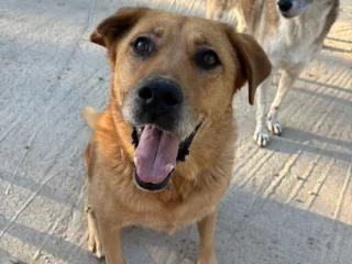 30D38A45-EC72-4ABA-968F-E0959F189D09