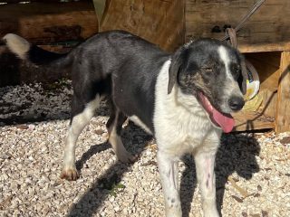 3665EA3D-1D3C-4149-A1F9-79487DC6DE7F