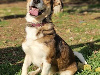 3c265d7f-54e9-47e4-adb1-923f1ba1ffcb