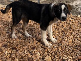 4328190A-B2BA-46E5-8430-3D8FA23C2EBA