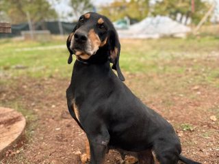 4e26a3fb-aac6-41fb-9452-657070982ad0