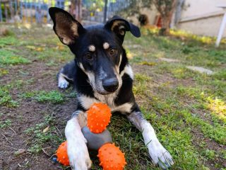 7d74deac-1c2d-4068-98da-01a359c30f8e