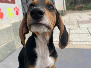 C2AB17BC-D028-4C71-924D-F3C091E182E6