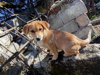 att.KH8H6RDa-ZEvSOhn1QOBCuC8yZ0jPtpU7cTt3nDuoIM