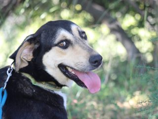 received_1251992663239928