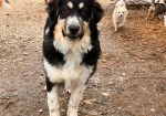 Bubu