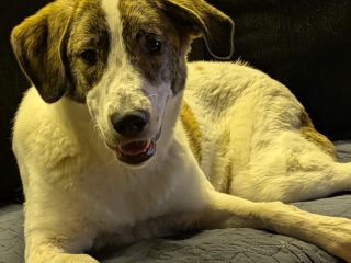 3df3fb09-d792-439a-b6ce-da4e909ef8bb