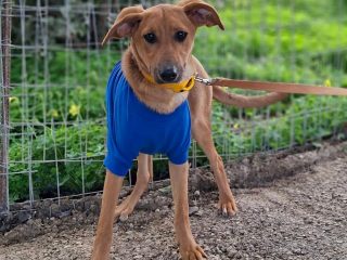 FB_IMG_1773563722915