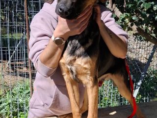 FB_IMG_1773753688606