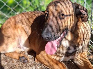 FB_IMG_1773755021890