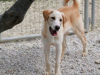 Messenger_creation_36938767-0E93-4613-8BF9-4CF10052C723