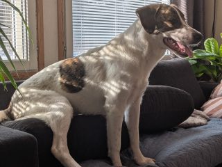 fbd4724b-debc-4bd2-a9b6-3d00e5acb1af