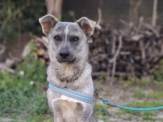 received_3607400869399335