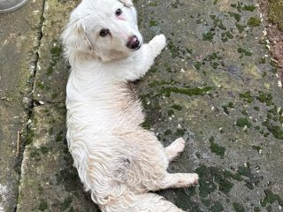 15ced53b-299f-4468-84fc-a2a7553ddf8e