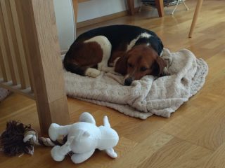 19cca1cc-ce4e-4801-af11-725c12475396