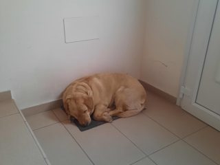 1e76f686-deb9-4f48-8472-c3543956fd27