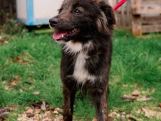 201c24fb-2cd8-47fe-b7f5-643b65519164