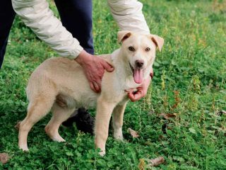 2764e32d-4601-4f58-a595-336102988251