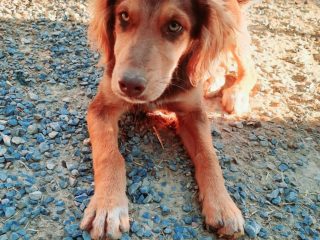 345df3e8-584d-4fa5-bb33-d0cded3af977