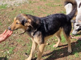 42831997-d9cb-45c0-9b26-dd0f1184599a