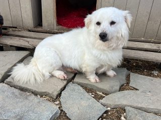 47bb51bf-eca5-4a0d-92ef-039b33975d84