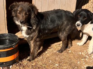 4b20ea3a-2fc3-4002-9510-46afed02f4b4