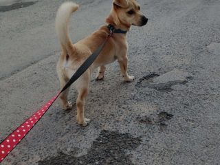 518e0eba-8297-4464-9787-fe17fc045e32