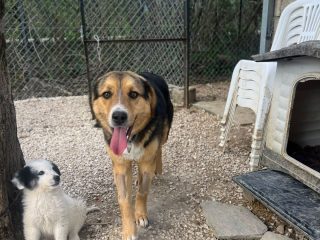 53394f00-8c28-443a-afd9-f584299f000a