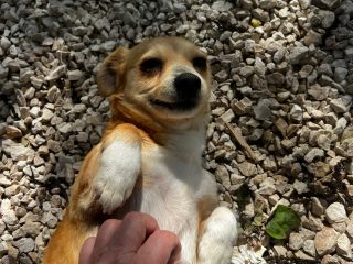 58795c4c-cac0-4902-aa0d-419bd2994c06