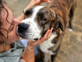 5d1f4291-74e4-431b-87fc-649be89e3965