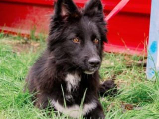 61694531-0f2e-4458-b97e-0a202dbf5a2a