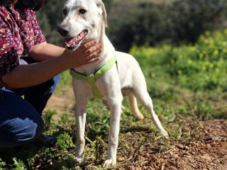 628112167_122109601311212468_5426282804374973331_n