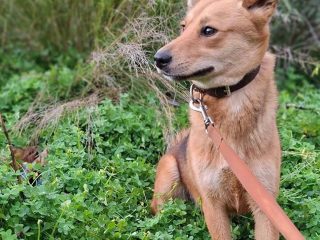 633412323_10163706068758959_3559709164717638081_n