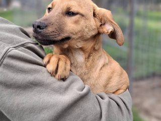 640013512_122111990715212468_8721598722156327834_n