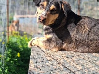 645124050_1250266447287993_8463203686635527204_n-1